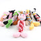Juguete Interactivo Masticable para Perro con Sonidos