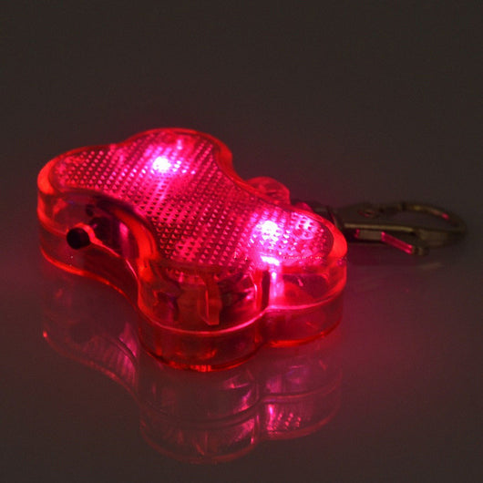 Placa de Identificación LED Forma Hueso para Mascotas - Collar de Seguridad Luminoso - Image 12