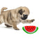 Cachorro melancia