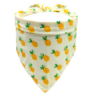 Toalla Absorbente para Mascotas - Image 11