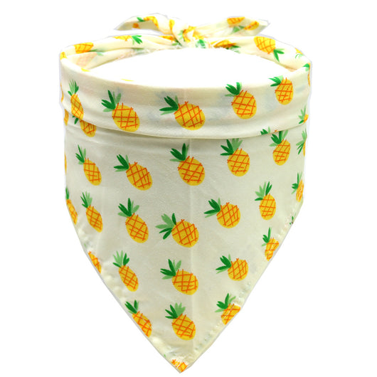 Toalla Absorbente para Mascotas - Image 11