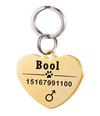 Placa de Identificación para Perro en Acero Inoxidable Personalizada - Image 39