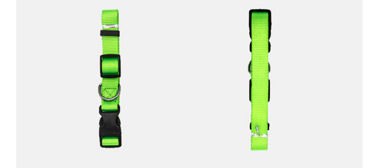 Collar para Mascotas Premium y Ajustable - Image 2