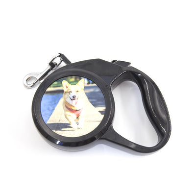 Correa Retráctil Automática Personalizada para Perros Pequeños con Control Remoto - Image 4