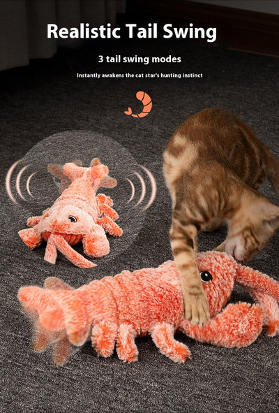 Juguete Dental Eléctrico Recargable USB con Simulación Realista para Mascotas - Image 26