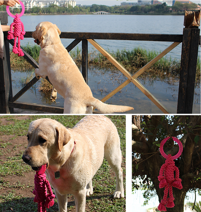 Juguete Interactivo de Nudos para Perros Grandes - Image 6