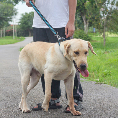 Cuerda de Entrenamiento Corta para Perros Grandes con Tracción - Image 17