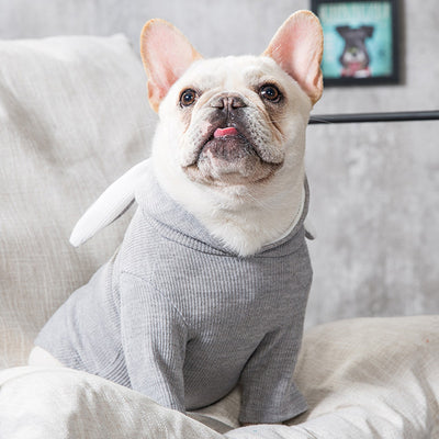 Ropa para Perros Primavera Otoño - Abrigo Cómodo y Elegante - Image 4