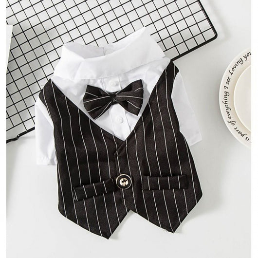 Traje Elegante para Perros Pequeños - Image 15