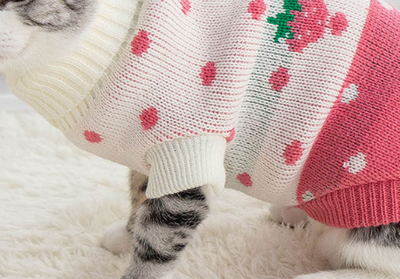 Ropa Térmica para Mascotas: Abrigo Cálido Antifrío para Perros y Gatos - Image 7