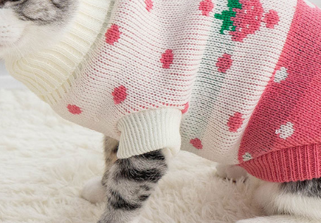 Ropa Térmica para Mascotas: Abrigo Cálido Antifrío para Perros y Gatos - Image 7