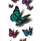 Borboleta
