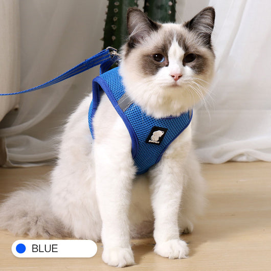 Arnés Antitirones para Gatos con Correa de Seguridad - Image 17