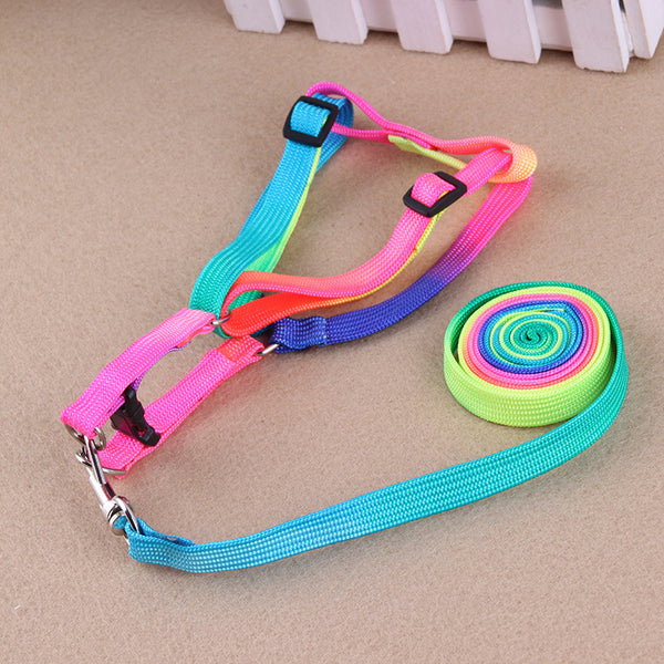 Correas Coloridas para Mascotas