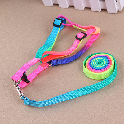 Correas Coloridas para Mascotas