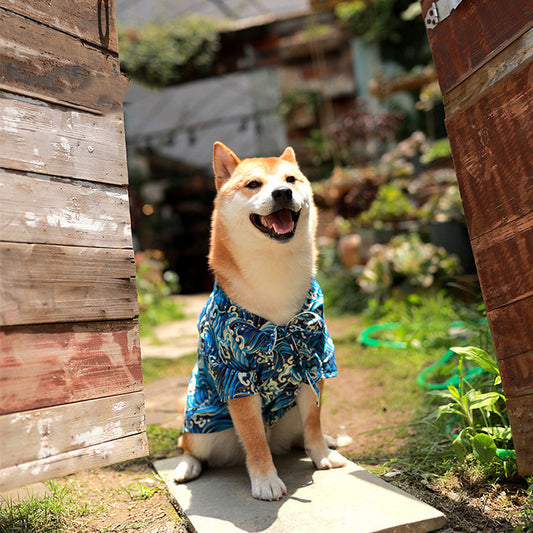 Kimono Tradicional Japonés para Shiba Inu