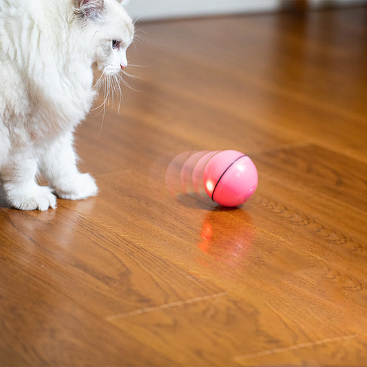 Pink plastic interactive pet toy ball with a power button and 'CLOSE'/'OPEN' markings for cats. - Image 8