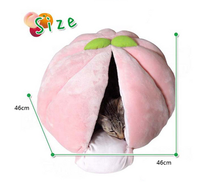 Casa Cálida para Gatos con Diseño de Frutas - Nido Acogedor para Invierno - Image 3
