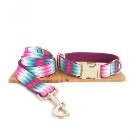 Juego de Collar y Correa para Perro con Patrón y Cinta de Color