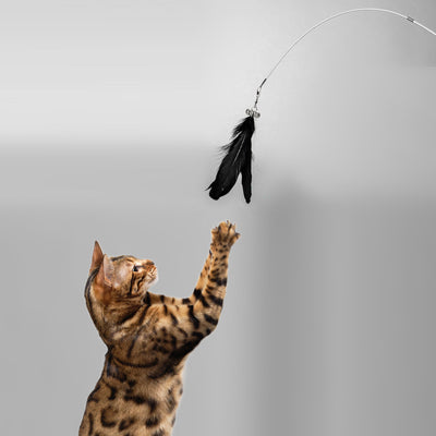 Juguete Interactivo Extensible para Gatos con Campana y Pluma Removible - Image 5