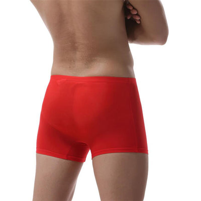 Calzoncillos Ice Silk Transparentes con Elástico Cómodo para Hombre - Image 7