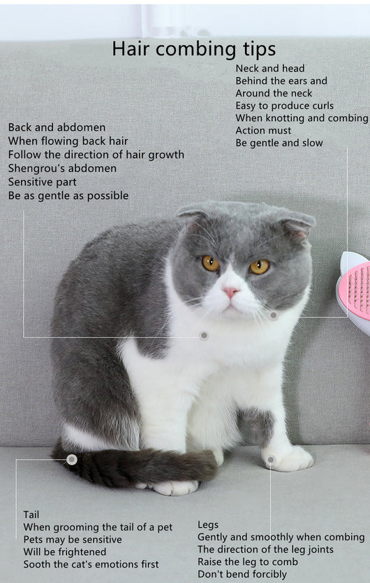 Peine Deslanador para Gatos y Perros de Pelo Largo y Corto - Image 16