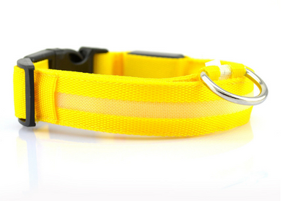 Collar LED de Seguridad para Perros - Image 10
