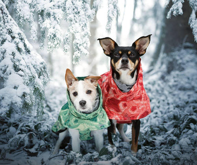 Abrigo Acolchado Impermeable para Perros Grandes - Protección Térmica Invierno - Image 18