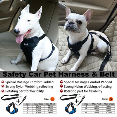 Cinturón de Seguridad Masajeador para Mascotas en Auto - Image 3
