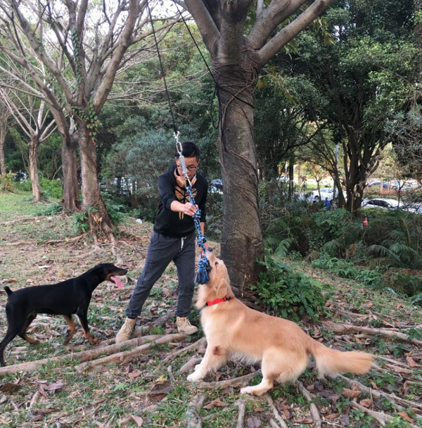 Cuerda de Algodón con Resorte para Mascotas