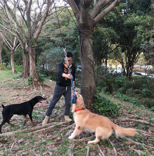 Cuerda de Algodón con Resorte para Mascotas - Image 2