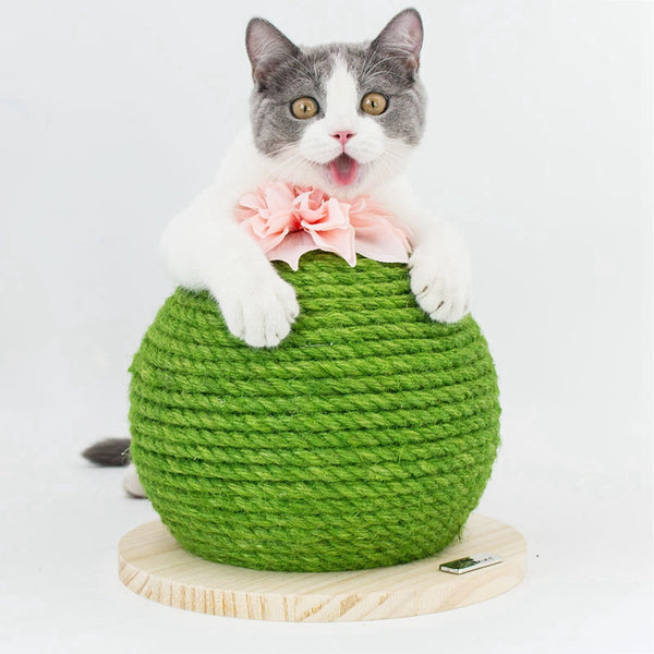 Torre Rascador para Gatos con Diseño de Cactus