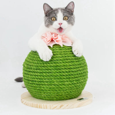 Torre Rascador para Gatos con Diseño de Cactus