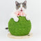 Torre Rascador para Gatos con Diseño de Cactus