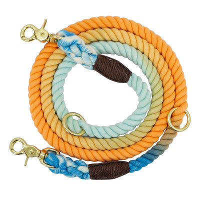 Collar Degradado para Perros con Correa de Entrenamiento y Cadena Metálica - Image 3