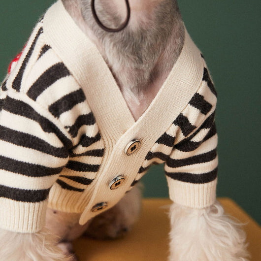 Suéter Cardigan a Rayas para Perros Pequeños - Image 5