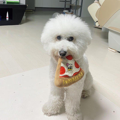Juguete Sonoro para Perros con Forma de Pizza - Llamador Interactivo - Image 13