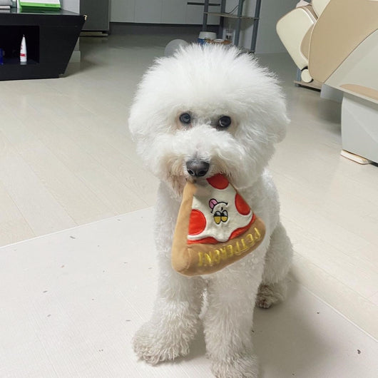 Juguete Sonoro para Perros con Forma de Pizza - Llamador Interactivo - Image 13