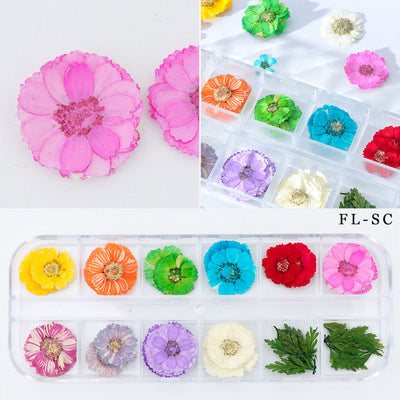 Flores Secas para Nail Art - Image 16
