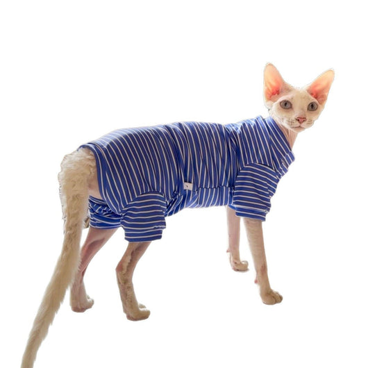 Ropa Transpirable para Gatos - Diseño Ligero y Fresco - Image 5