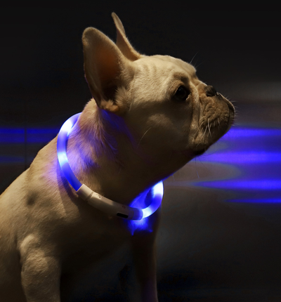Collar Luminoso Antiextravío para Perros - Collar Inteligente LED - Image 3