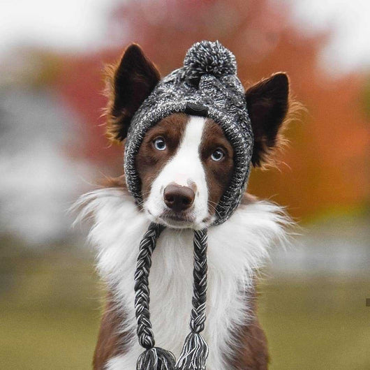 Gorro Tejido Polar para Perros con Pompón - Protección Térmica Resistente al Viento - Image 3