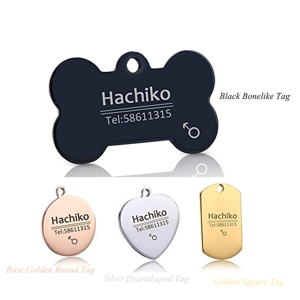 Placa de Identificación para Mascotas en Acero Titanio con Grabado Personalizado