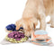 Tapete de Enriquecimiento para Perros - Kit Completo con Pétalos Desmontables