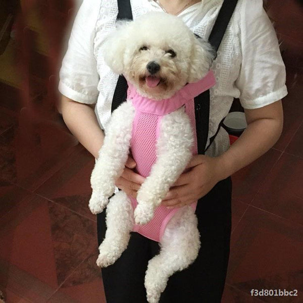 Arnés de Paseo para Mascotas