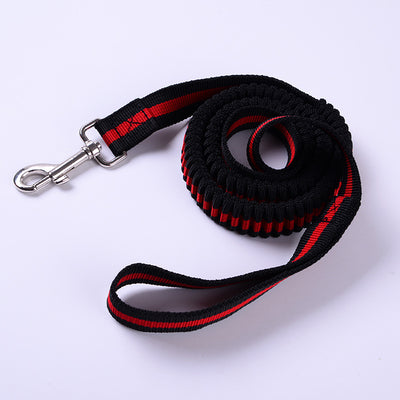 Correa Elástica de Tracción para Perros Outdoor - Image 12