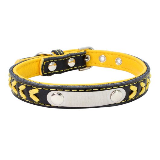 Collar para Perro de Acero Inoxidable con Grabado Láser - Image 32