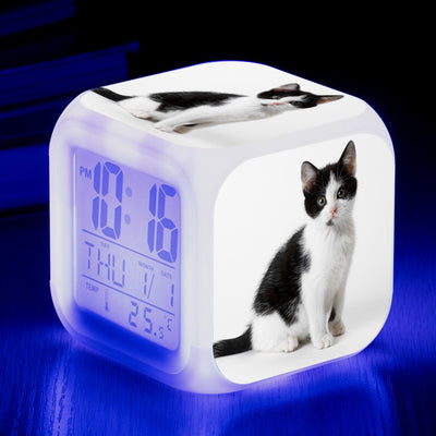 Reloj Despertador Cuadrado Multicolor para Gatos - Image 36