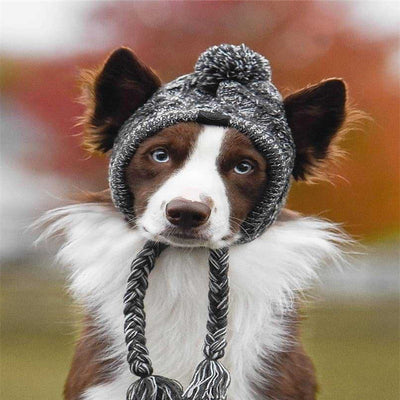 Gorro de Lana para Perros - Colección Otoño Invierno - Image 4