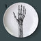 Placa Decorativa de Anatomía Ósea